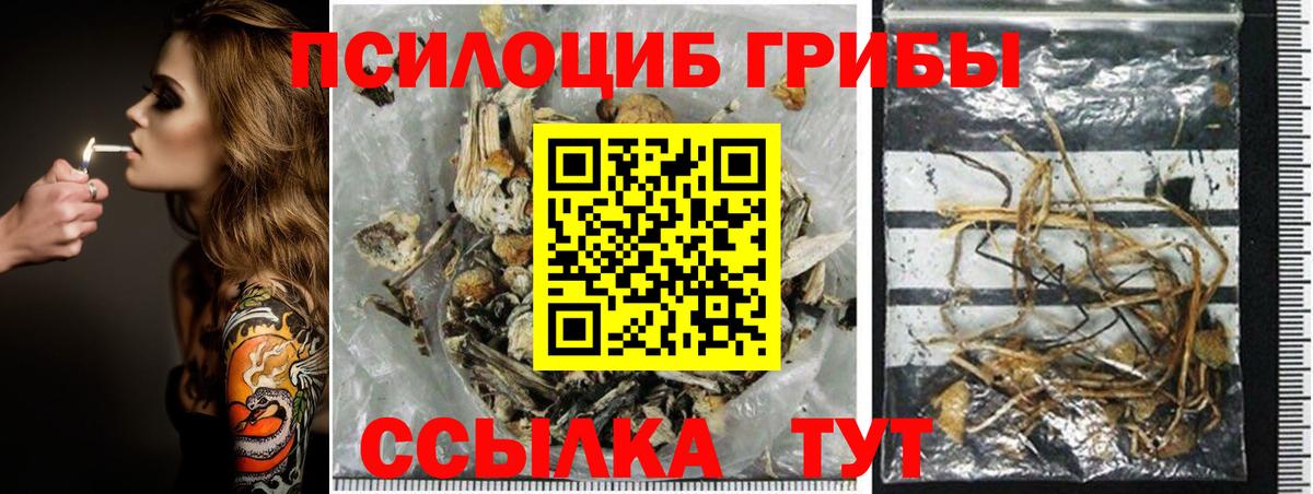 Домодедово  Галлюциногенные грибы мухоморы  наркотики  Вход с VPN 