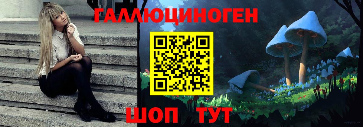 Галлюциногенные грибы мухоморы Домодедово